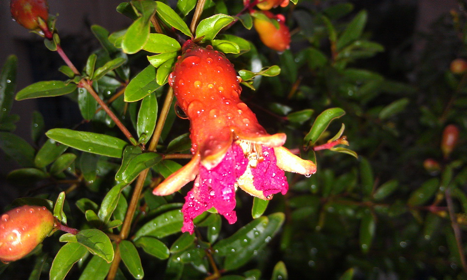 IMAG0447.jpg