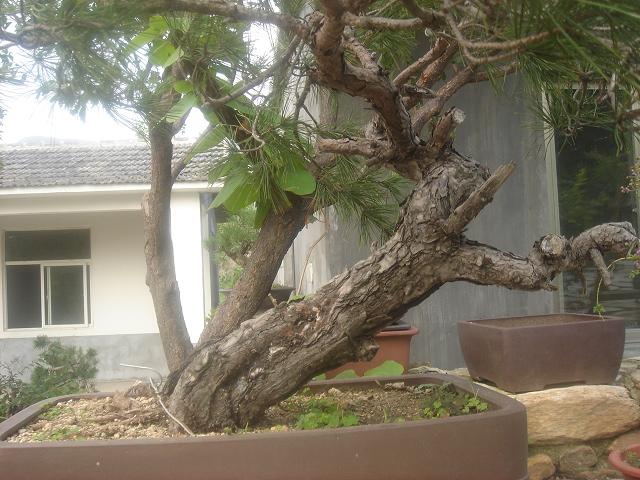 DSC06515.JPG