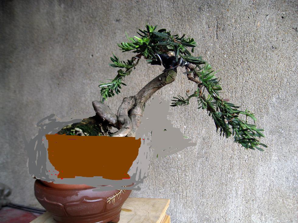  12.jpg