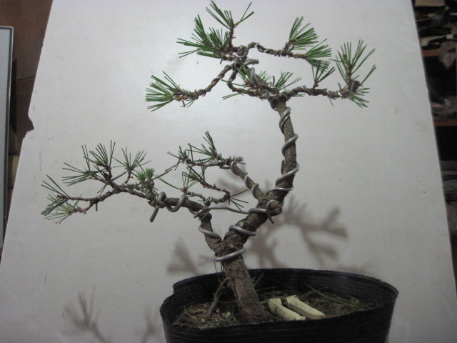 2012-09-06 002.jpg
