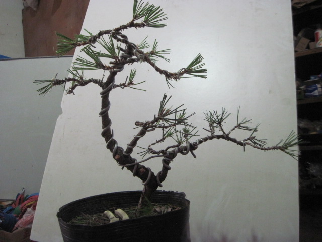 2012-09-06 003.jpg