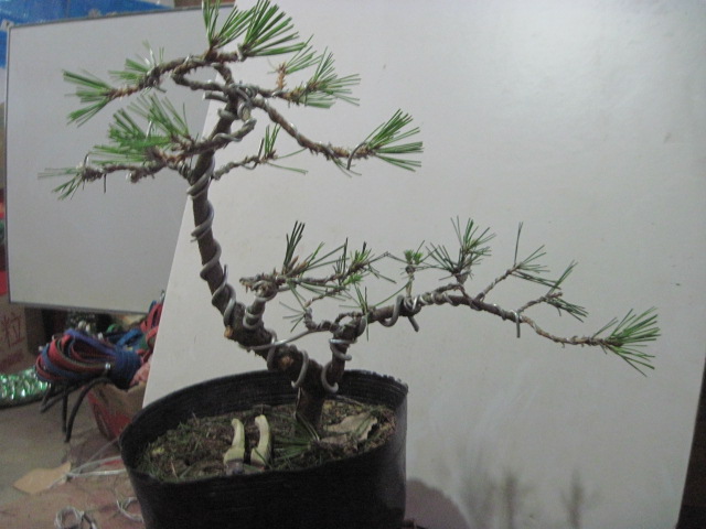2012-09-06 004.jpg