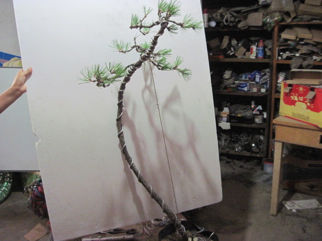 2012-09-06 005.jpg
