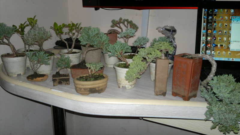 201209061373.jpg