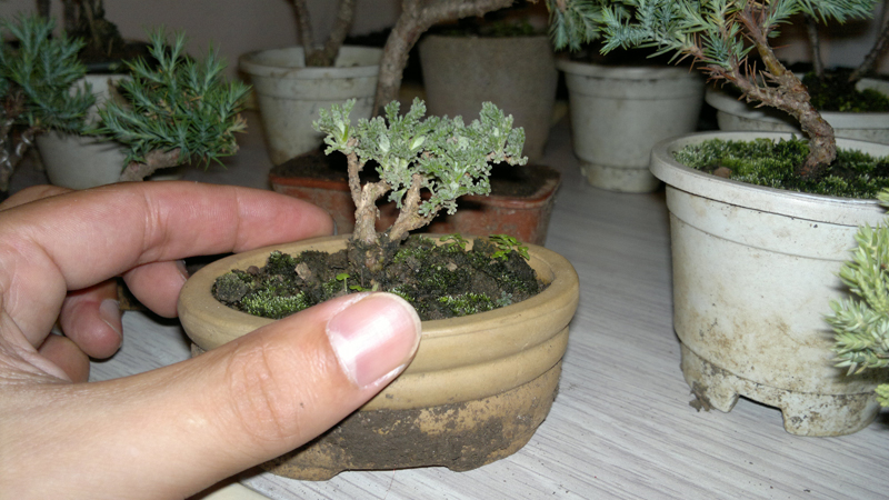 201209061374.jpg