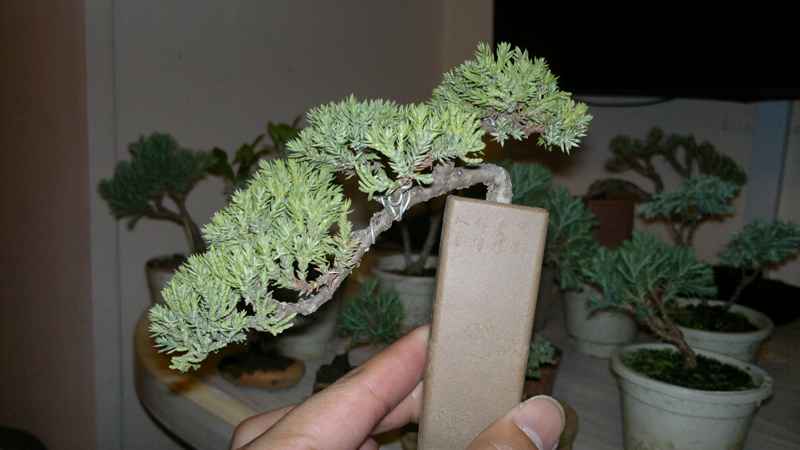 201209061375.jpg