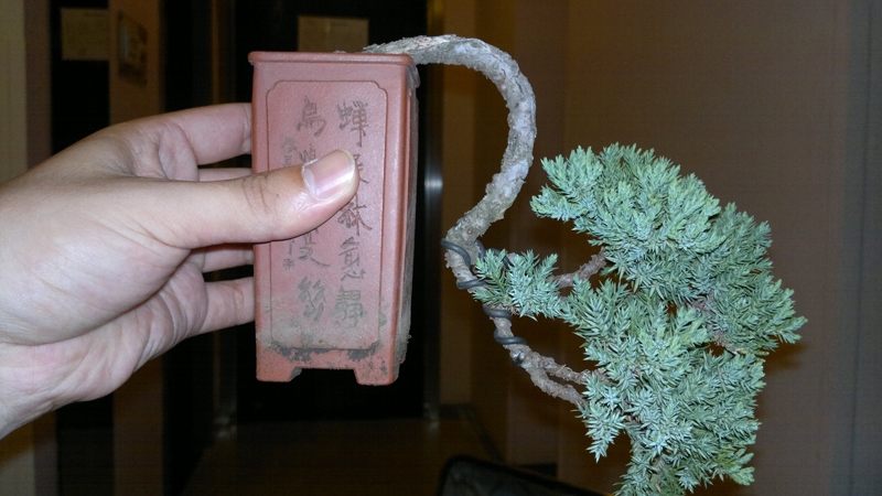201209061376.jpg