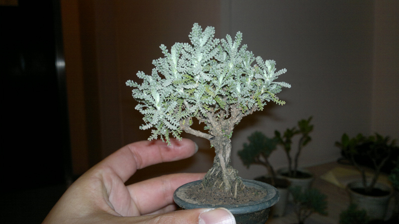 201209061377.jpg