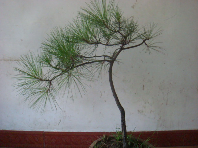 DSC02645.JPG