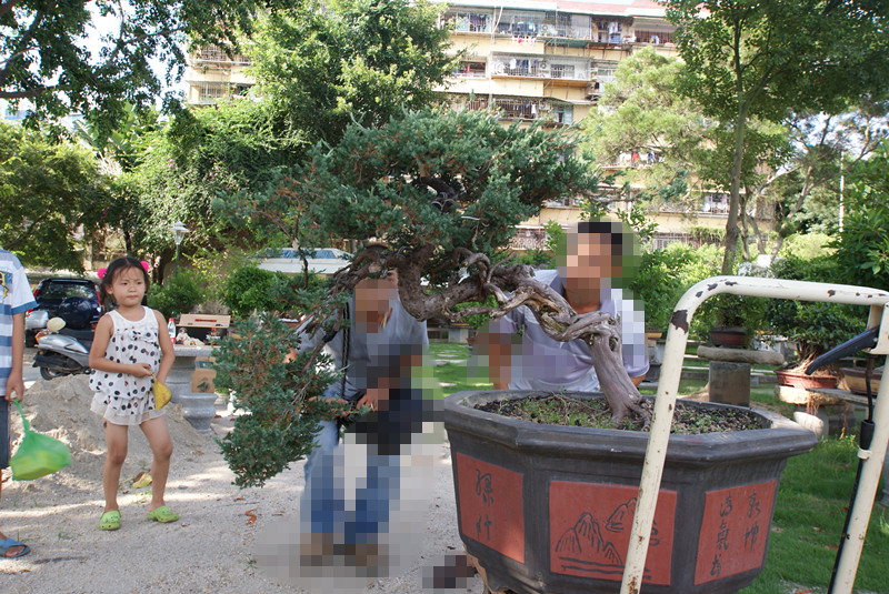DSC07005_.jpg