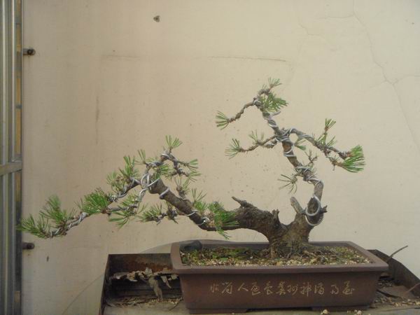 DSC01126.JPG