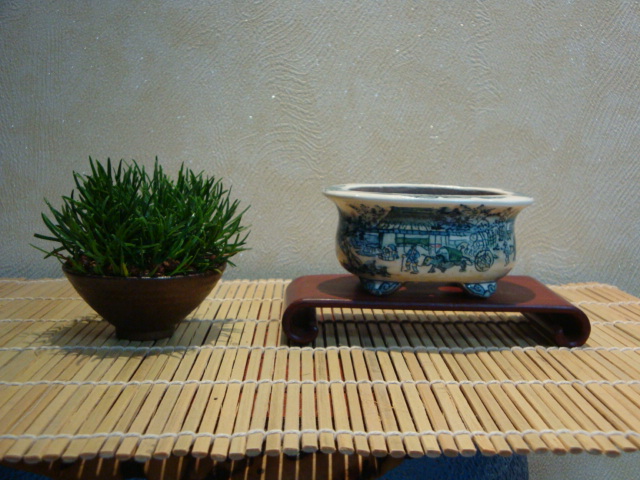 DSC00230.JPG