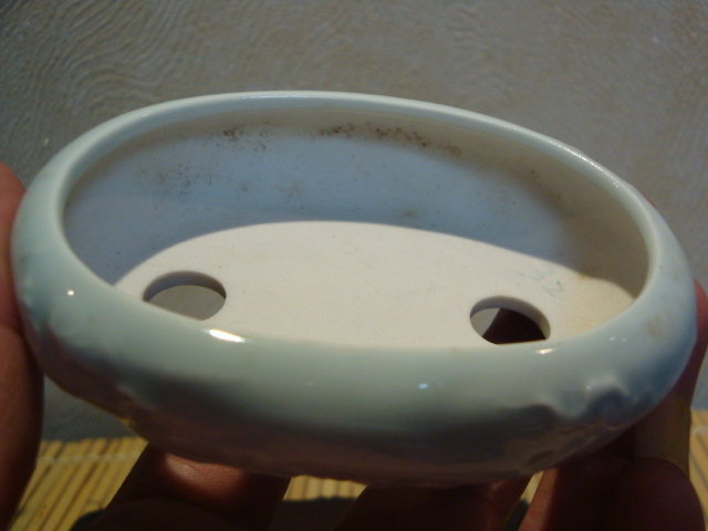 DSC00256.JPG