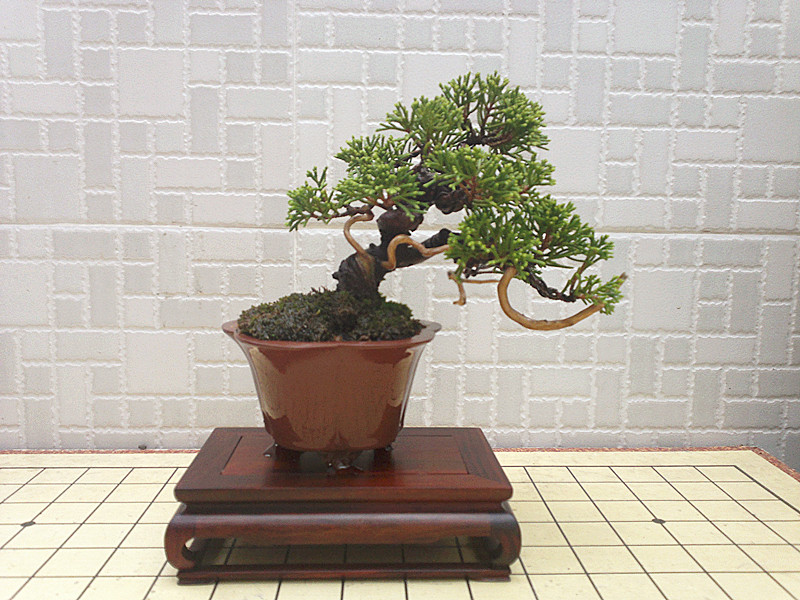 201209091696_.jpg