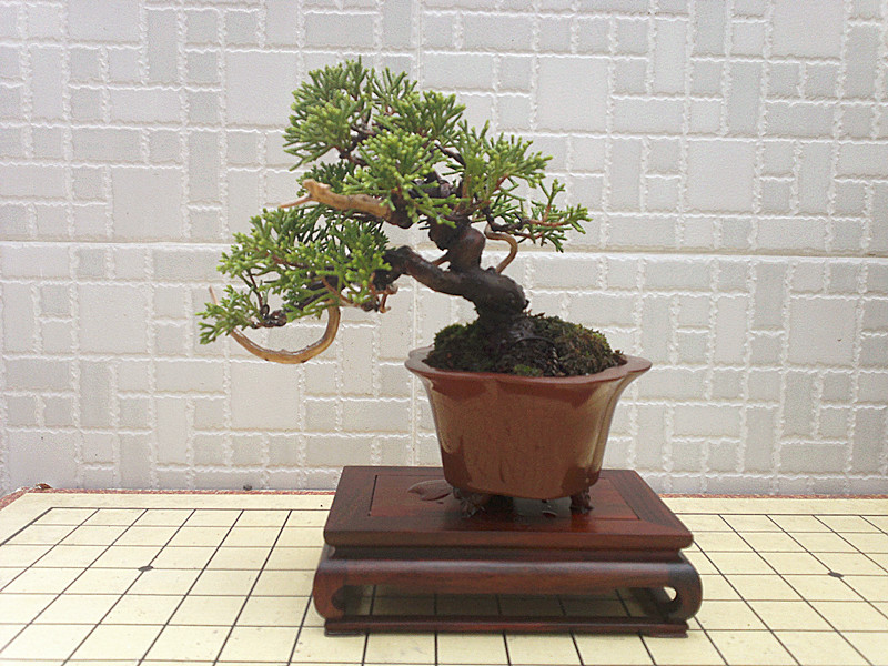 201209091697_.jpg