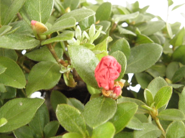 P9101844.JPG