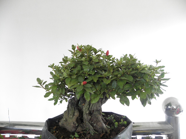 P9101840.JPG
