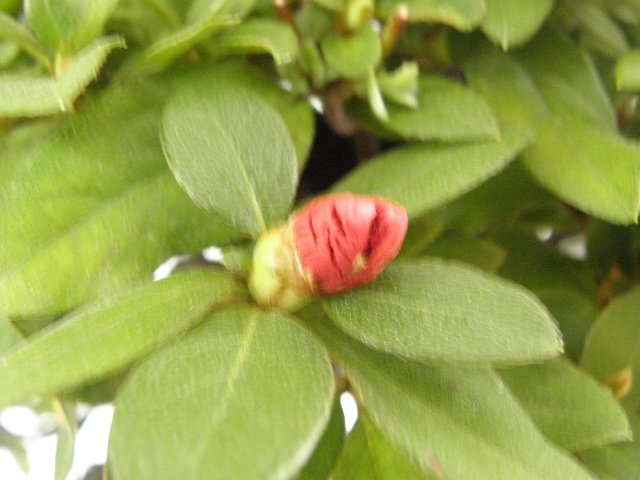 P9101841.JPG