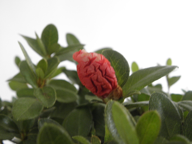P9101843.JPG
