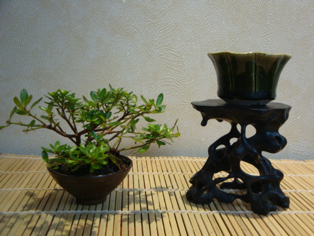 DSC00258.JPG