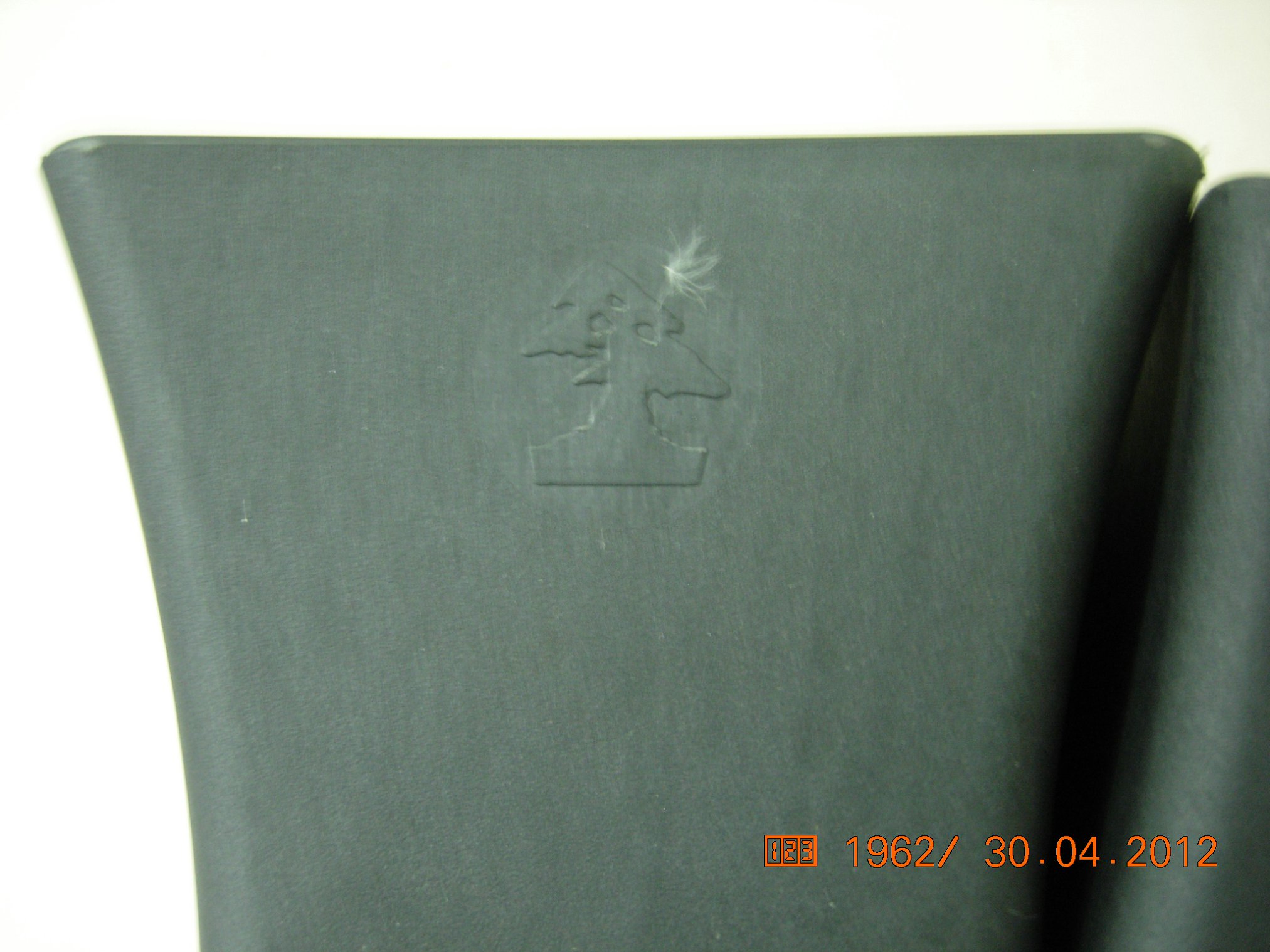 DSCN5954.JPG