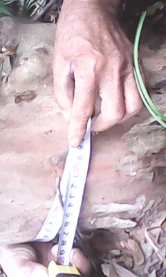 IMG0298A.jpg