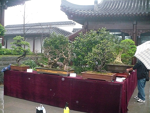 P1030171_.jpg