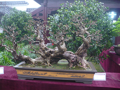 P1030173_.jpg