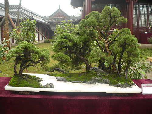 P1030188_.jpg