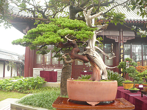 P1030190_.jpg