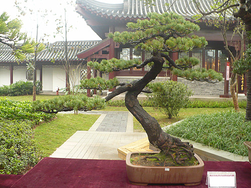 P1030194_.jpg