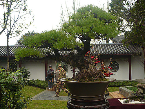 P1030195_.jpg