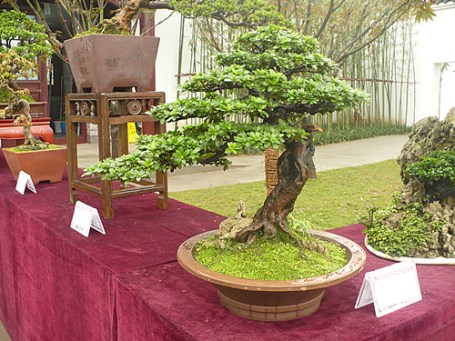 P1030199_.jpg