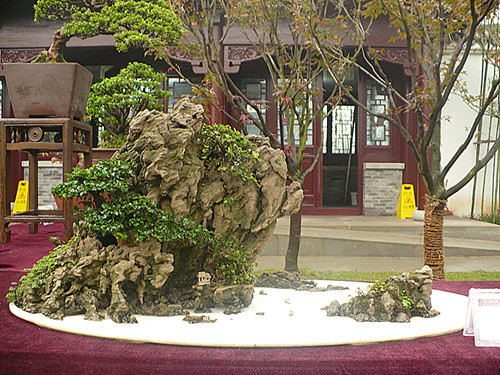 P1030200_.jpg