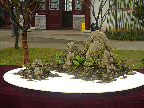 P1030201_.jpg