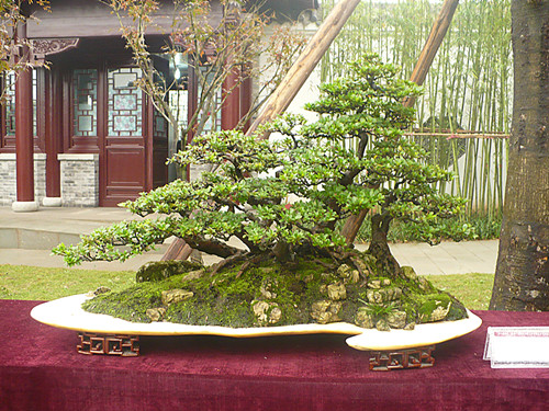 P1030202_.jpg