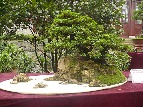 P1030210_.jpg
