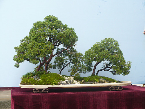 P1030216_.jpg