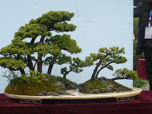 P1030217_.jpg