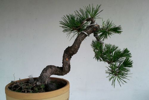 Ƭ-0025.jpg