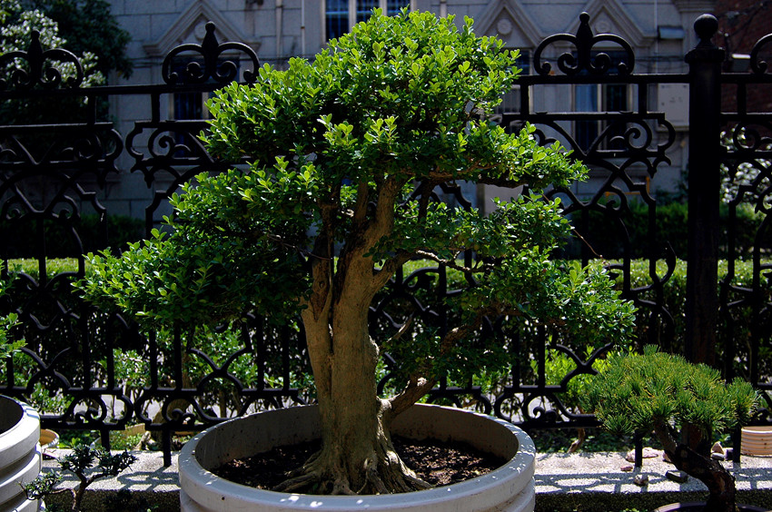 DSC_6173_.jpg