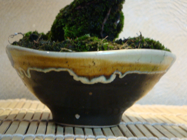 DSC00271.JPG