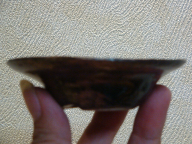 DSC00273.JPG