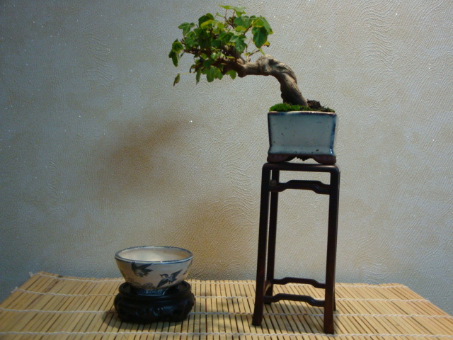 DSC00275.JPG