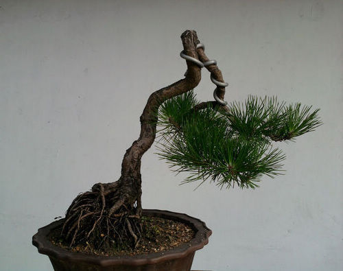 Ƭ-0131.jpg