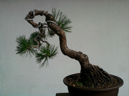 Ƭ-0134.jpg
