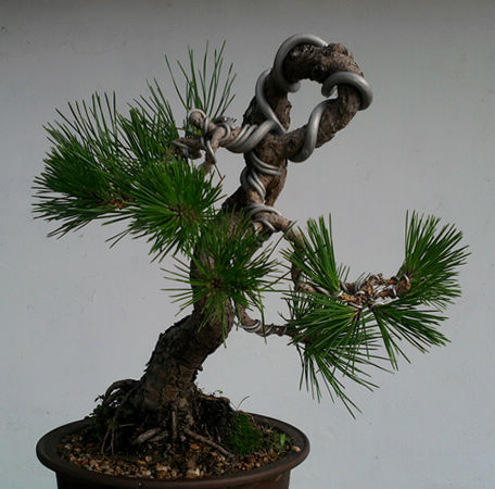 Ƭ-0136.jpg