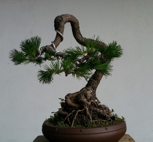 Ƭ-0137.jpg