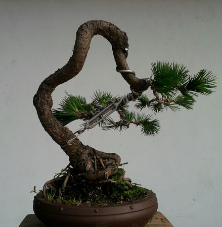 Ƭ-0138.jpg