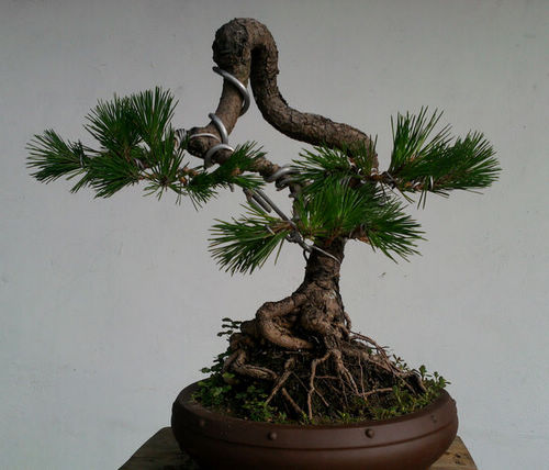 Ƭ-0139.jpg